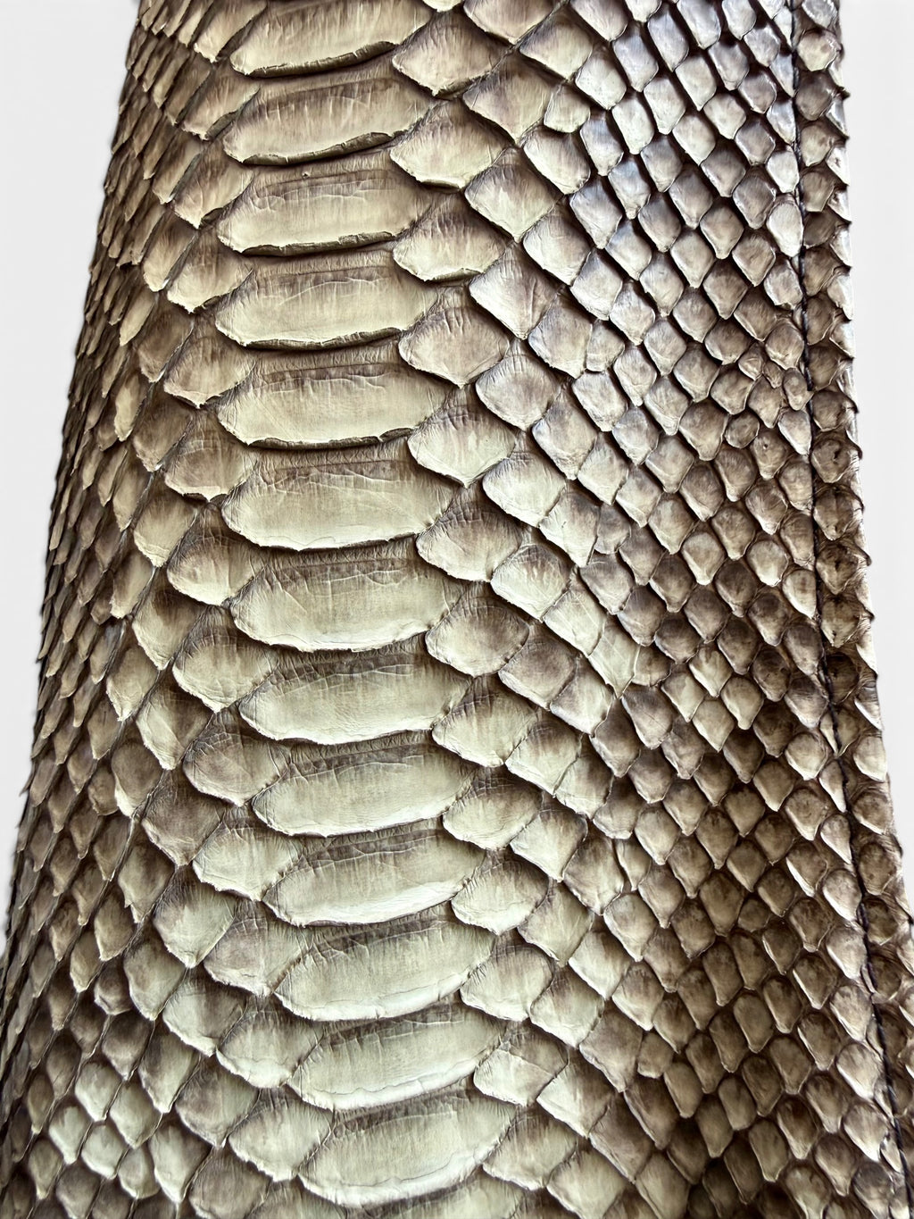 Vintage Leather Jacket | Python-Panel Front
